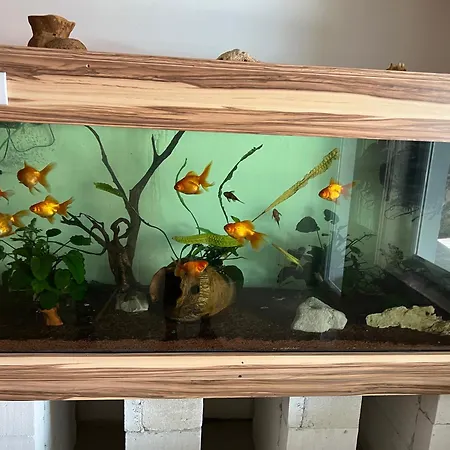 Panorama Vendeghaz アパート *