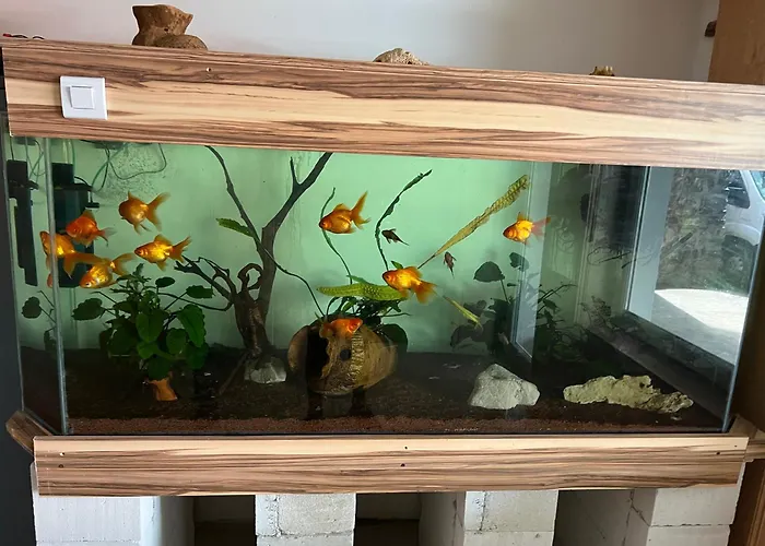 Panorama Vendeghaz Apartament *